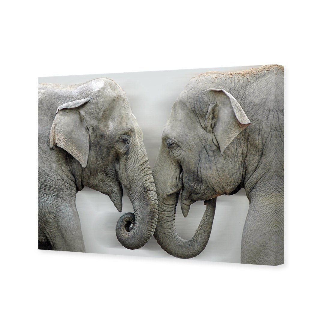 Elephants Kissing - Wall Art Designs - 1241_AR_H WAD_CP - MPY - 260 - M - S - S_45x30_NONE