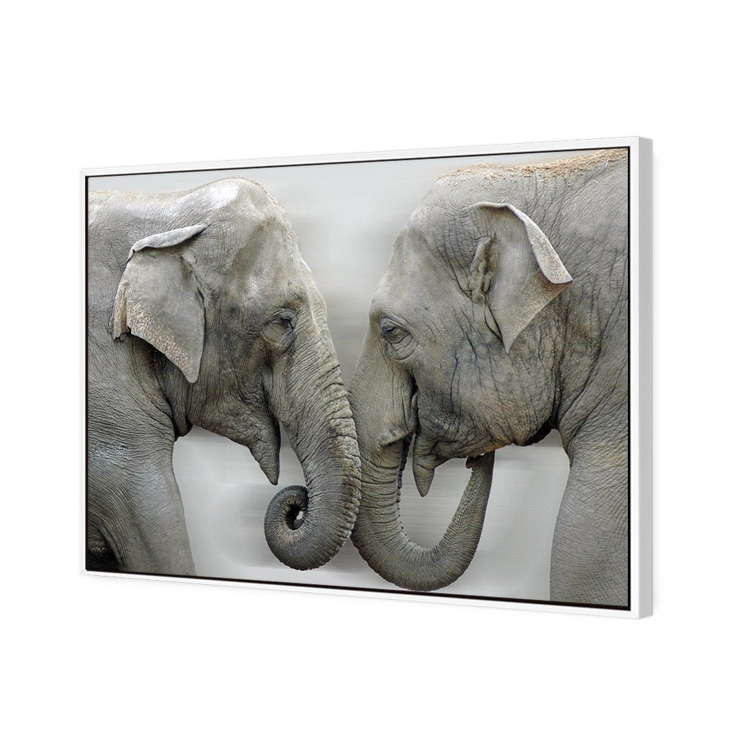 Elephants Kissing - Wall Art Designs - 1241_AR_H WAD_CP - MPY - 260 - M - S - S_45x30_S - 1550 - WHT