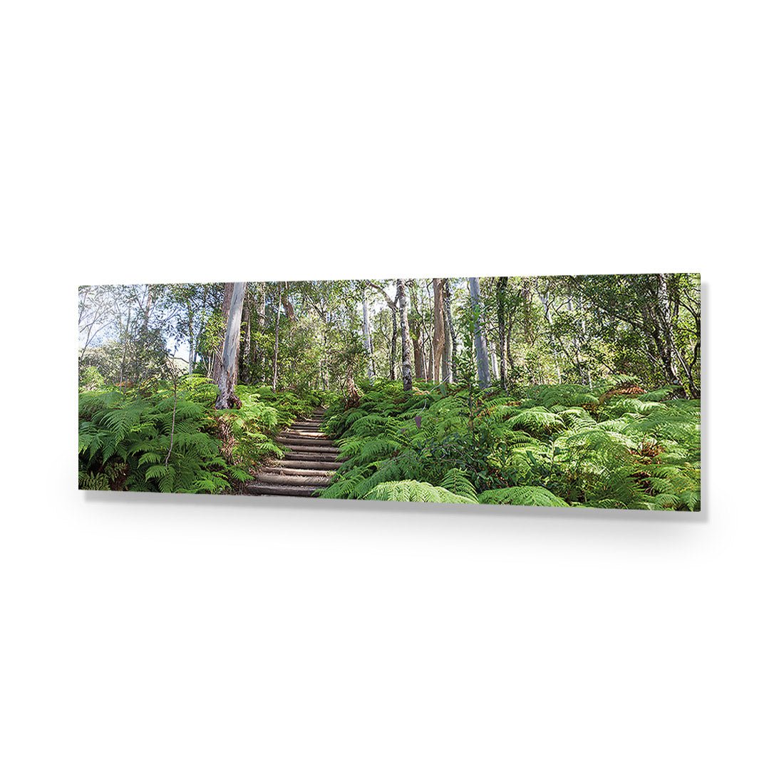 Ellenborough Falls - Wall Art Designs - 1935_AL_H WAD_AP - 030 - EDG_90x30_NONE