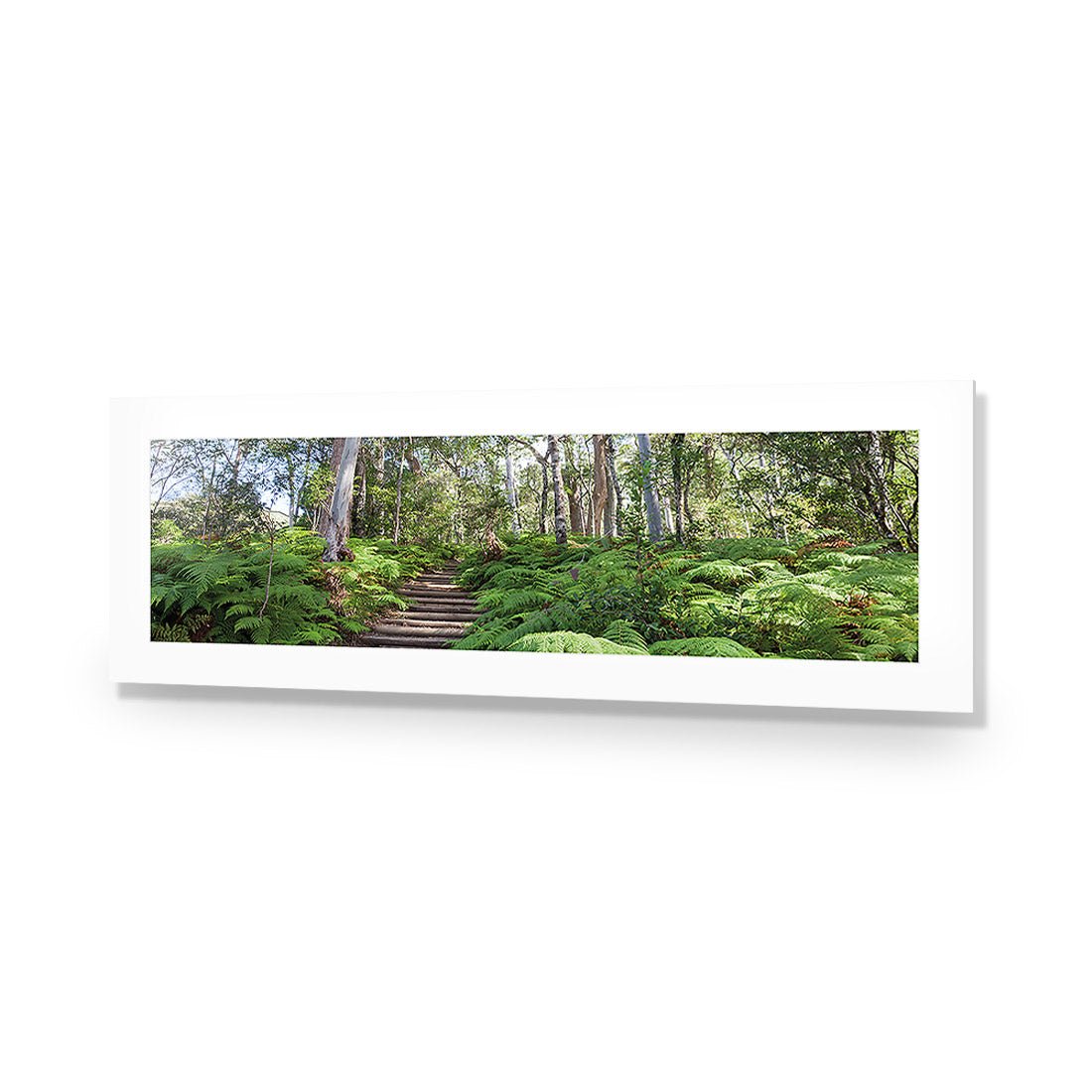 Ellenborough Falls - Wall Art Designs - 1935_AL_H WAD_AP - 030 - MAT_90x30_NONE