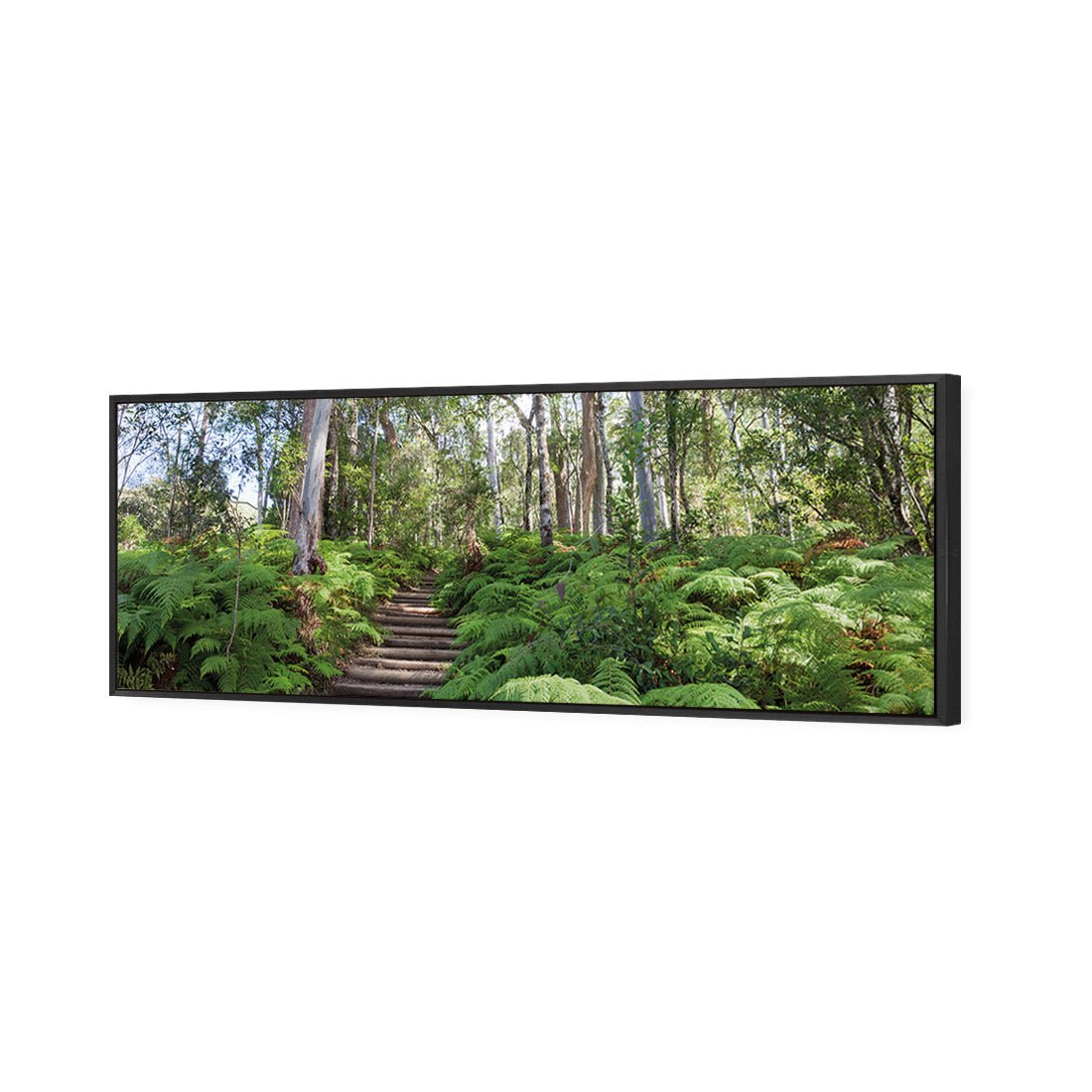 Ellenborough Falls - Wall Art Designs - 1935_AL_H WAD_CP - MPY - 260 - M - S - S_60x20_S - 1550 - BLK