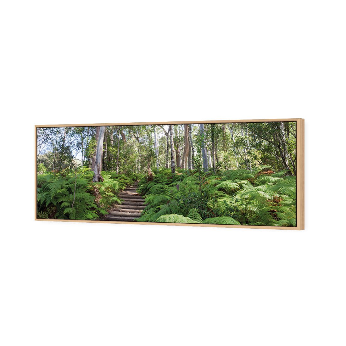 Ellenborough Falls - Wall Art Designs - 1935_AL_H WAD_CP - MPY - 260 - M - S - S_60x20_S - 1550 - OAK