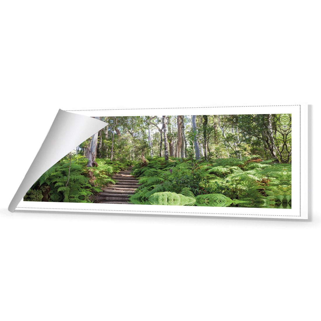 Ellenborough Falls - Wall Art Designs - 1935_AL_H WAD_CP - MPY - 260 - M - R_60x20_NONE