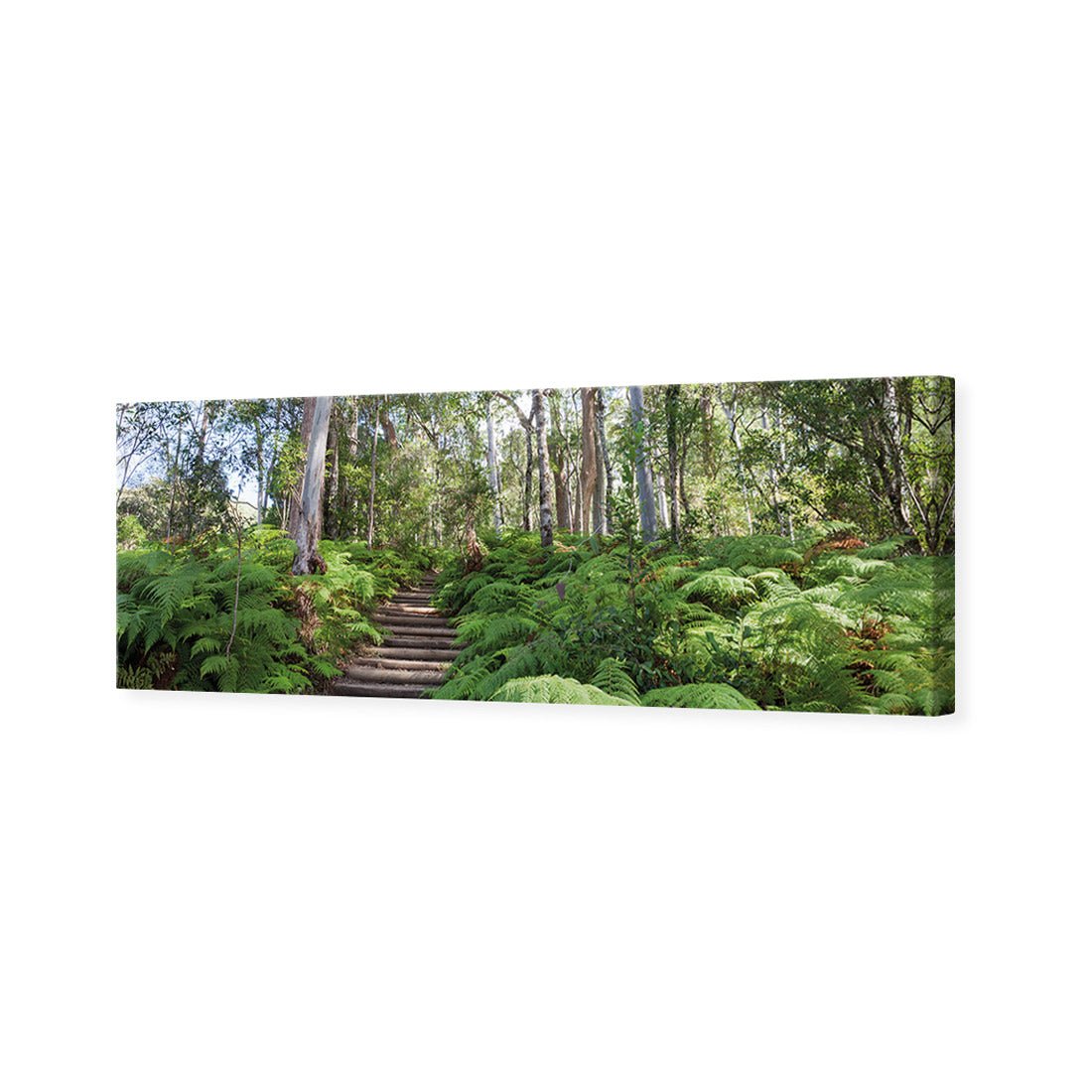 Ellenborough Falls - Wall Art Designs - 1935_AL_H WAD_CP - MPY - 260 - M - S - S_60x20_NONE