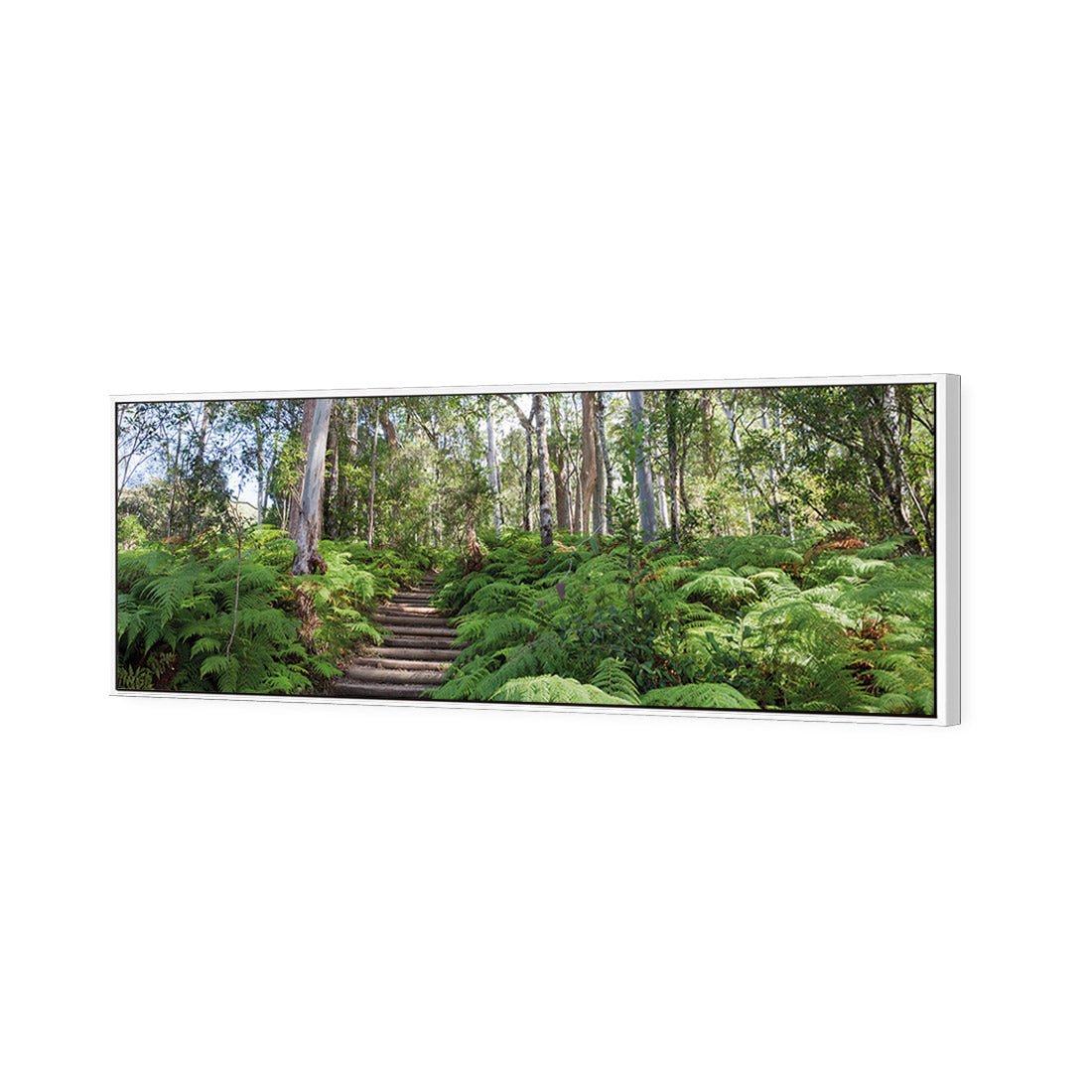 Ellenborough Falls - Wall Art Designs - 1935_AL_H WAD_CP - MPY - 260 - M - S - S_60x20_S - 1550 - WHT