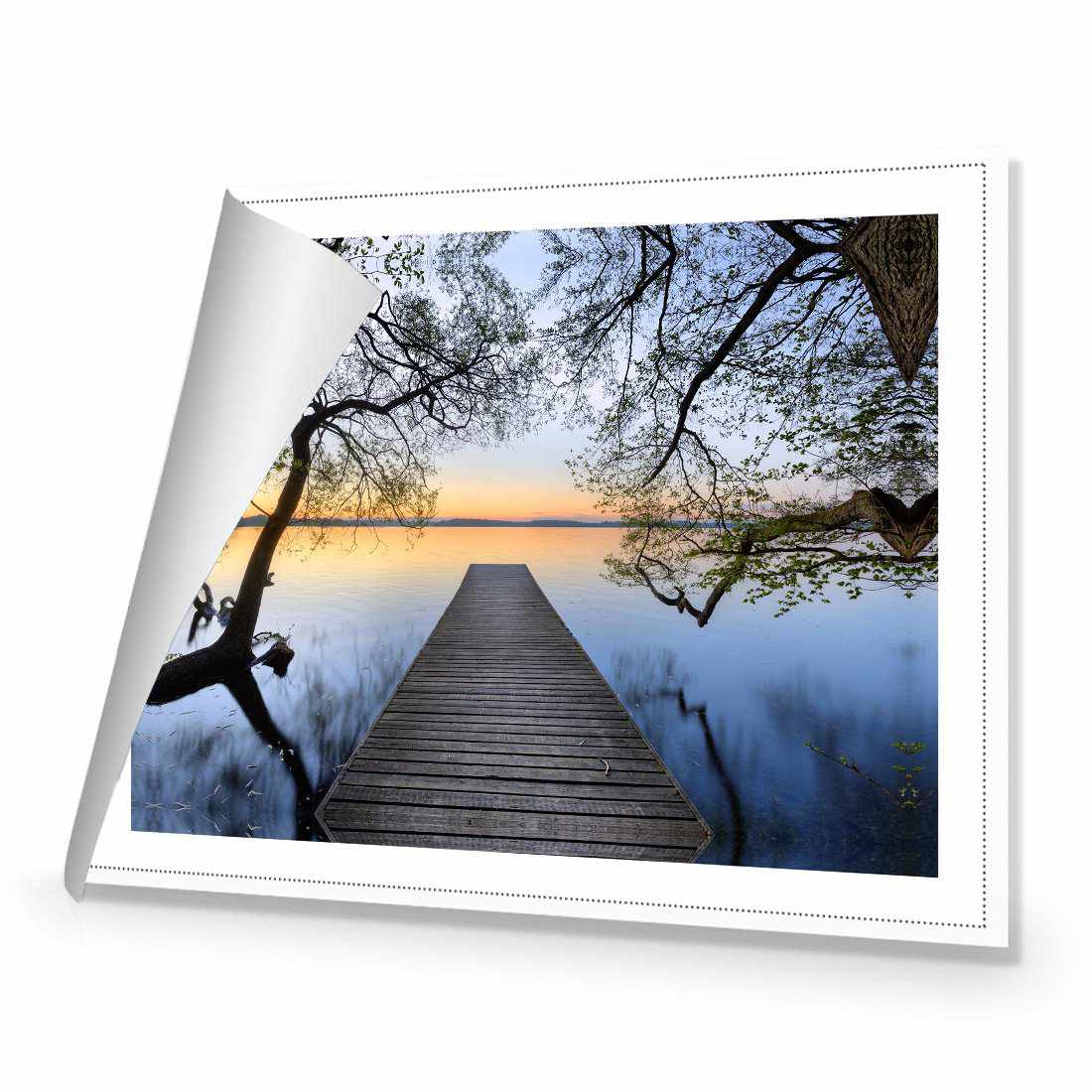 Escaped | Standard Canvas | No Frame | Rolled Canvas