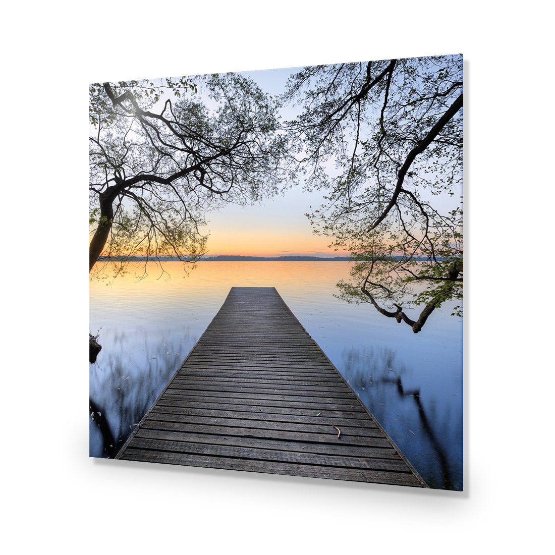 Escaped (square) - Wall Art Designs - 2220_AS_Q WAD_AP - 030 - EDG_37x37_NONE