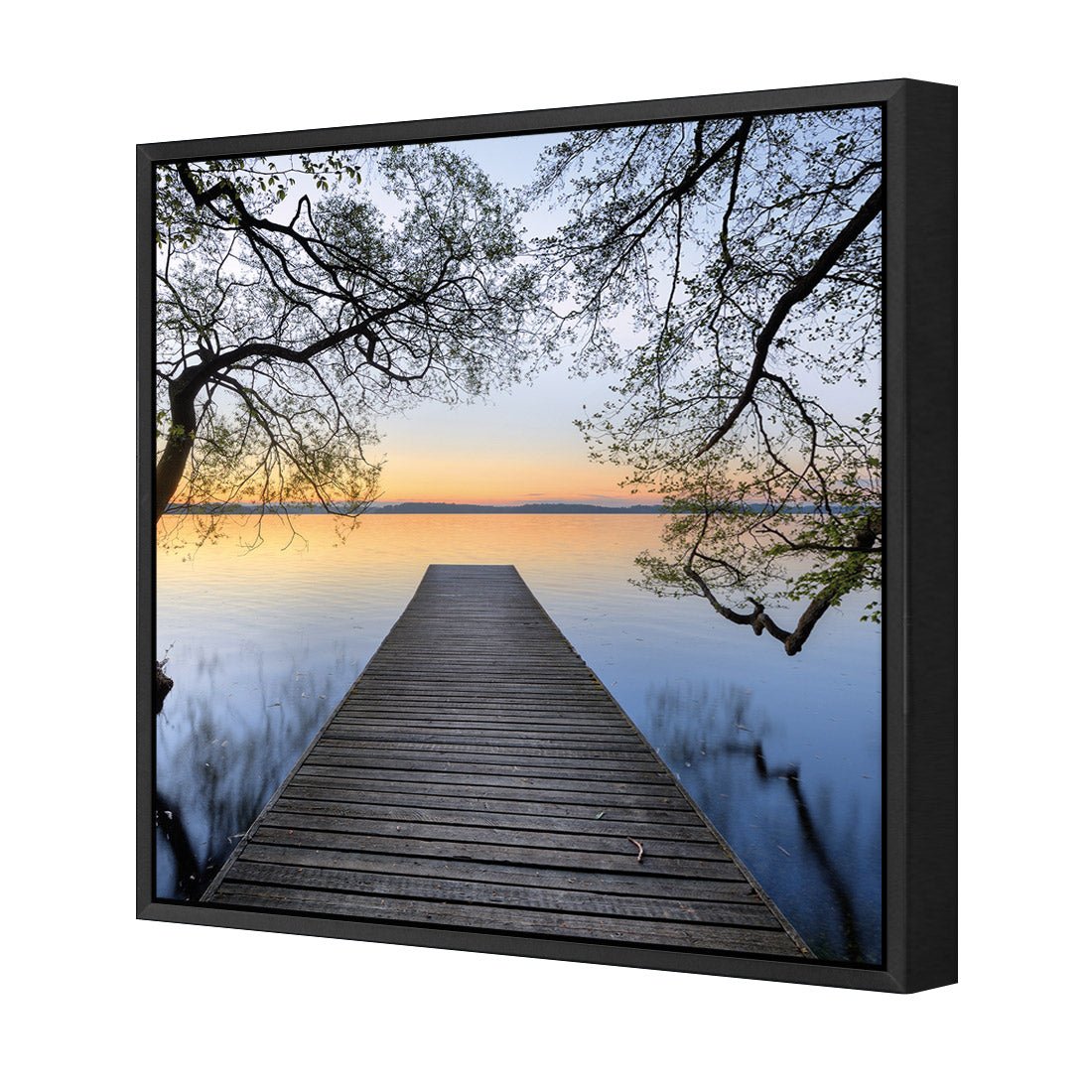 Escaped (square) - Wall Art Designs - 2220_AS_Q WAD_CP - MPY - 260 - M - S - S_37x37_S - 1550 - BLK