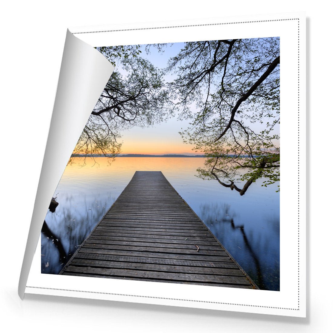 Escaped (square) - Wall Art Designs - 2220_AS_Q WAD_CP - MPY - 260 - M - R_37x37_NONE