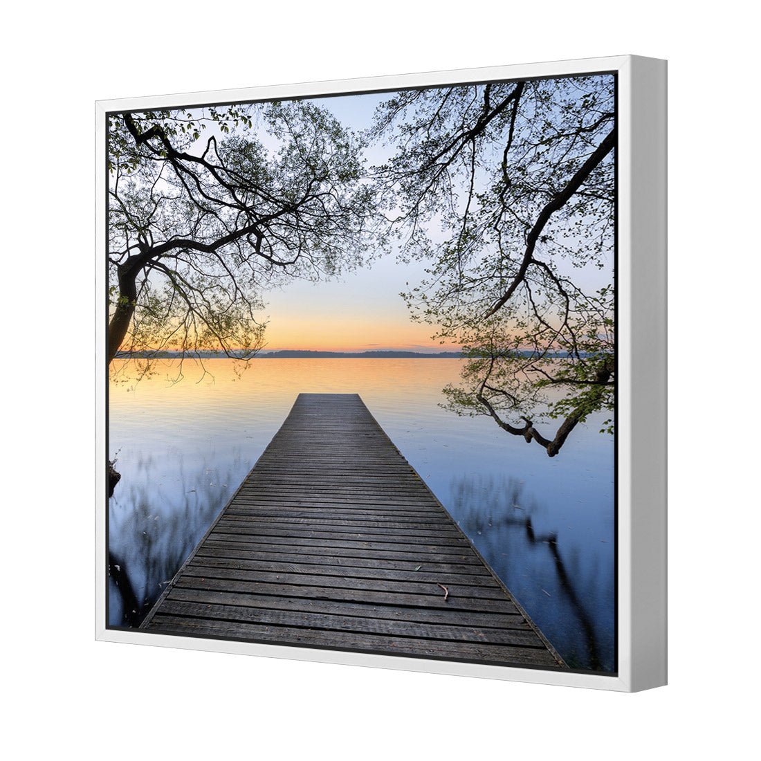 Escaped (square) - Wall Art Designs - 2220_AS_Q WAD_CP - MPY - 260 - M - S - S_37x37_S - 1550 - WHT