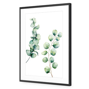 Eucalyptus Duo | Standard Acrylic | Flat Frame With Border | Black