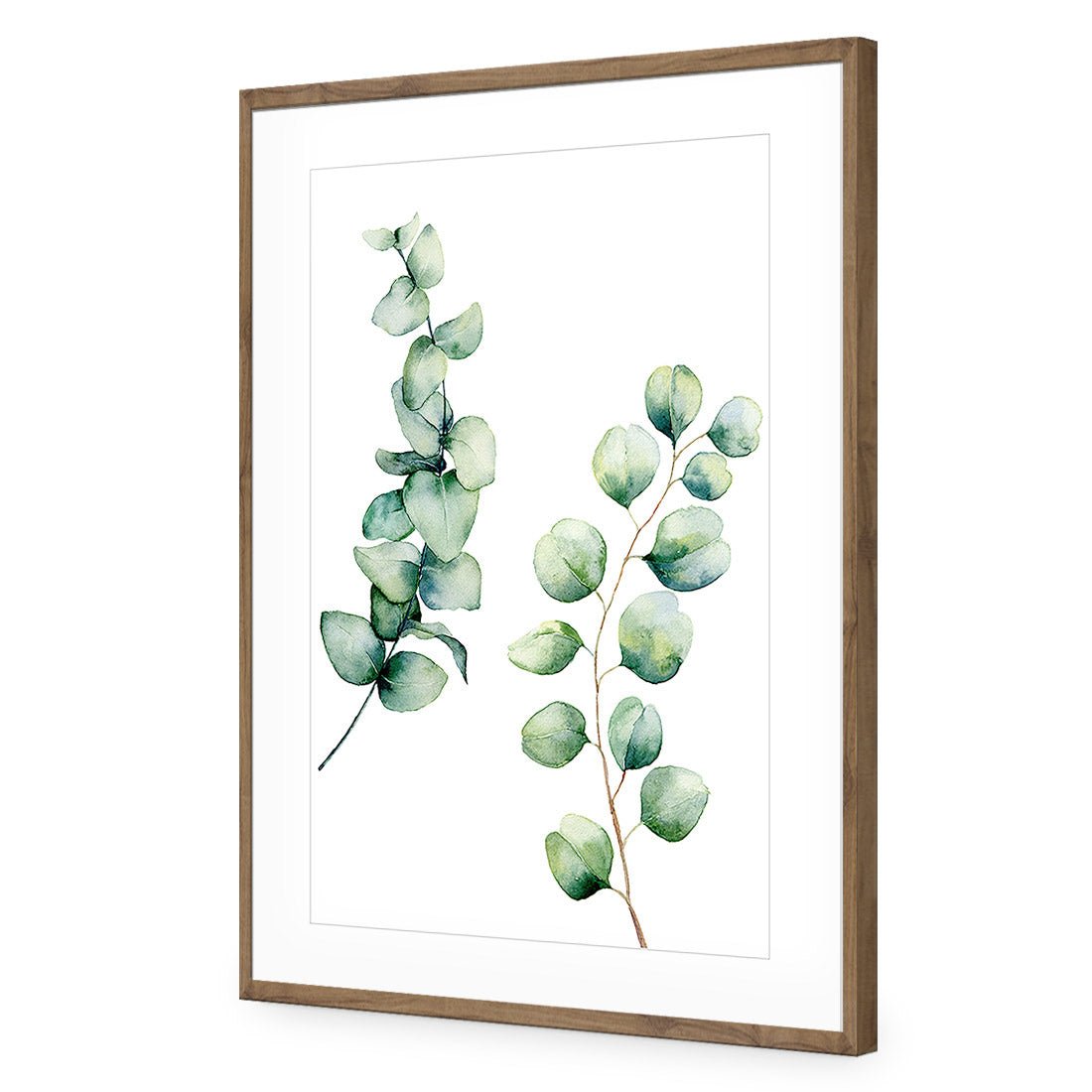 Eucalyptus Duo | Standard Acrylic | Flat Frame With Border | Natural