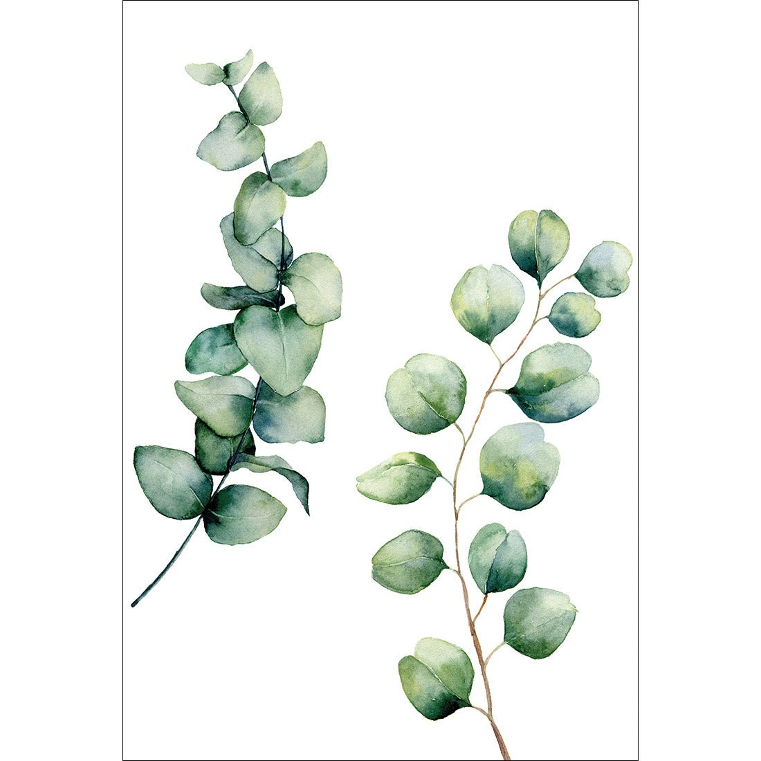 Eucalyptus Duo Acrylic Print Art - Wall Art Designs - 3182_AR_V WAD_AP - 030 - MAT_45x30_NONE