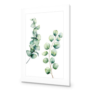 Eucalyptus Duo | Standard Acrylic | No Frame With Border