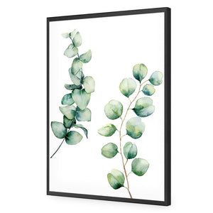 Eucalyptus Duo | Standard Acrylic | Flat Frame No Border | Black