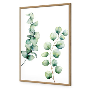 Eucalyptus Duo | Standard Acrylic | Flat Frame No Border | Oak