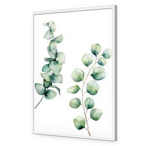 Eucalyptus Duo | Standard Acrylic | Flat Frame No Border | White
