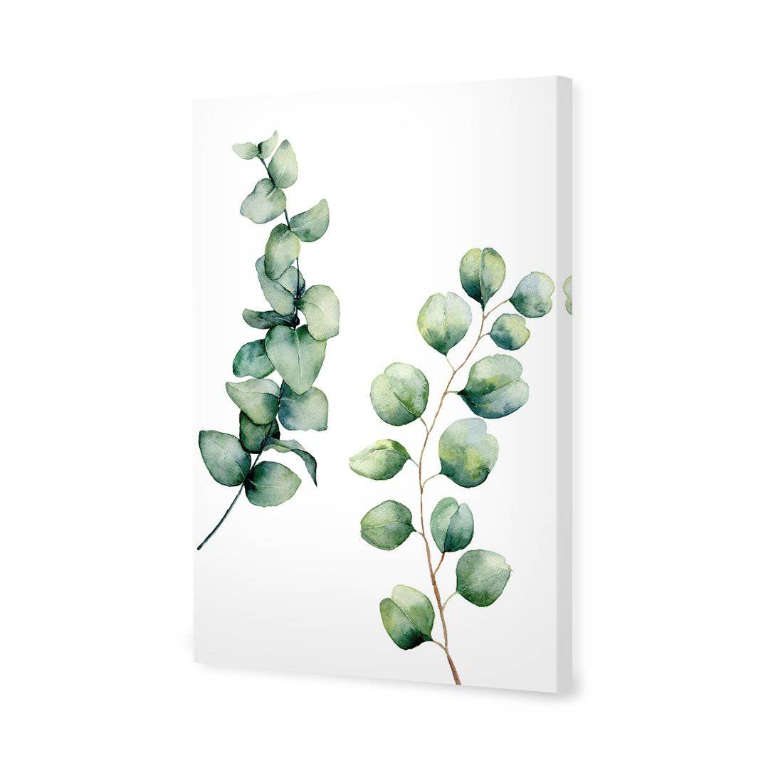 Eucalyptus Duo | Standard Canvas | No Frame | Stretched Canvas