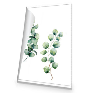 Eucalyptus Duo | Standard Canvas | No Frame | Rolled Canvas
