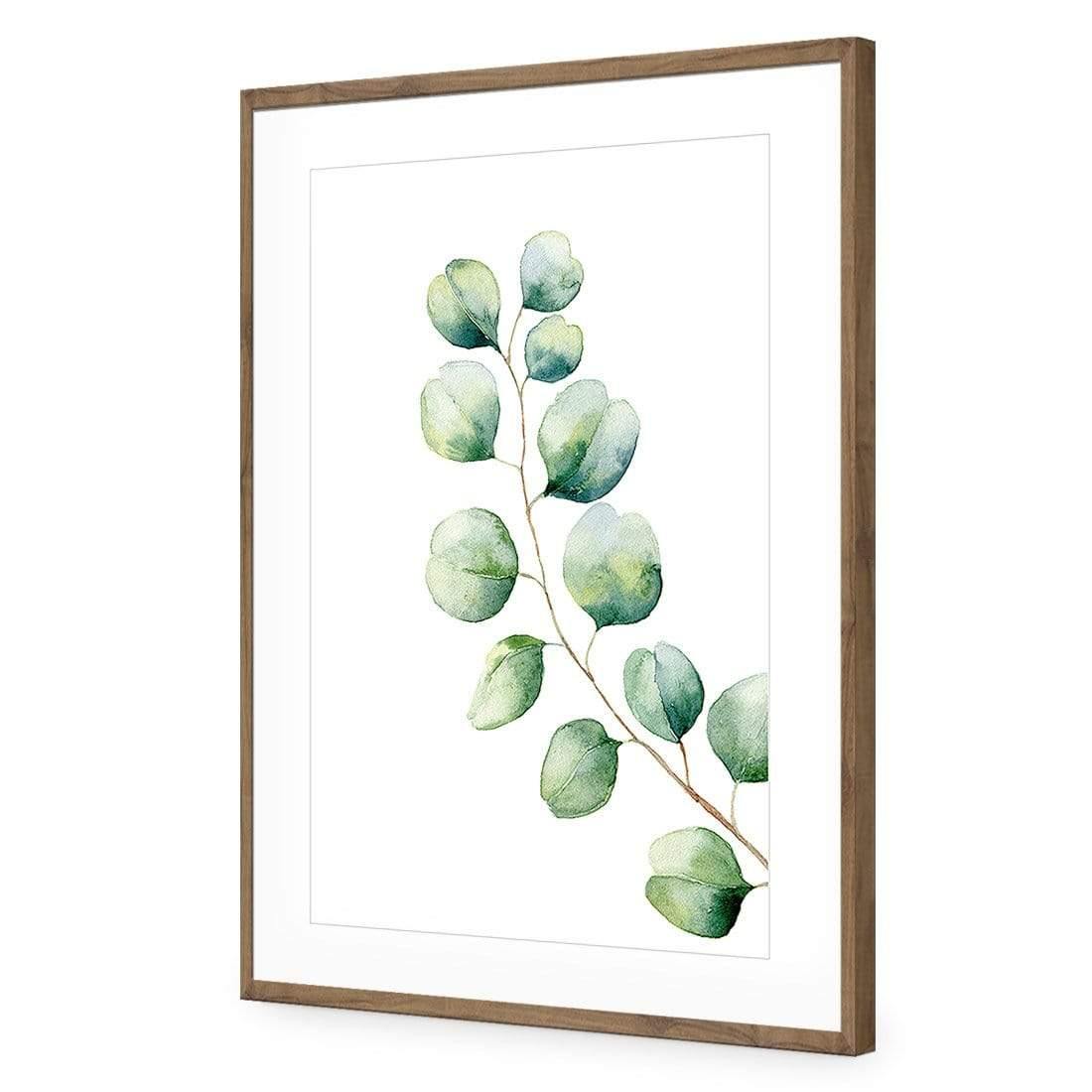 Eucalyptus Solo - Wall Art Designs - 3181_AR_V WAD_CP - MPY - 260 - M - S - S_45x30_NONE