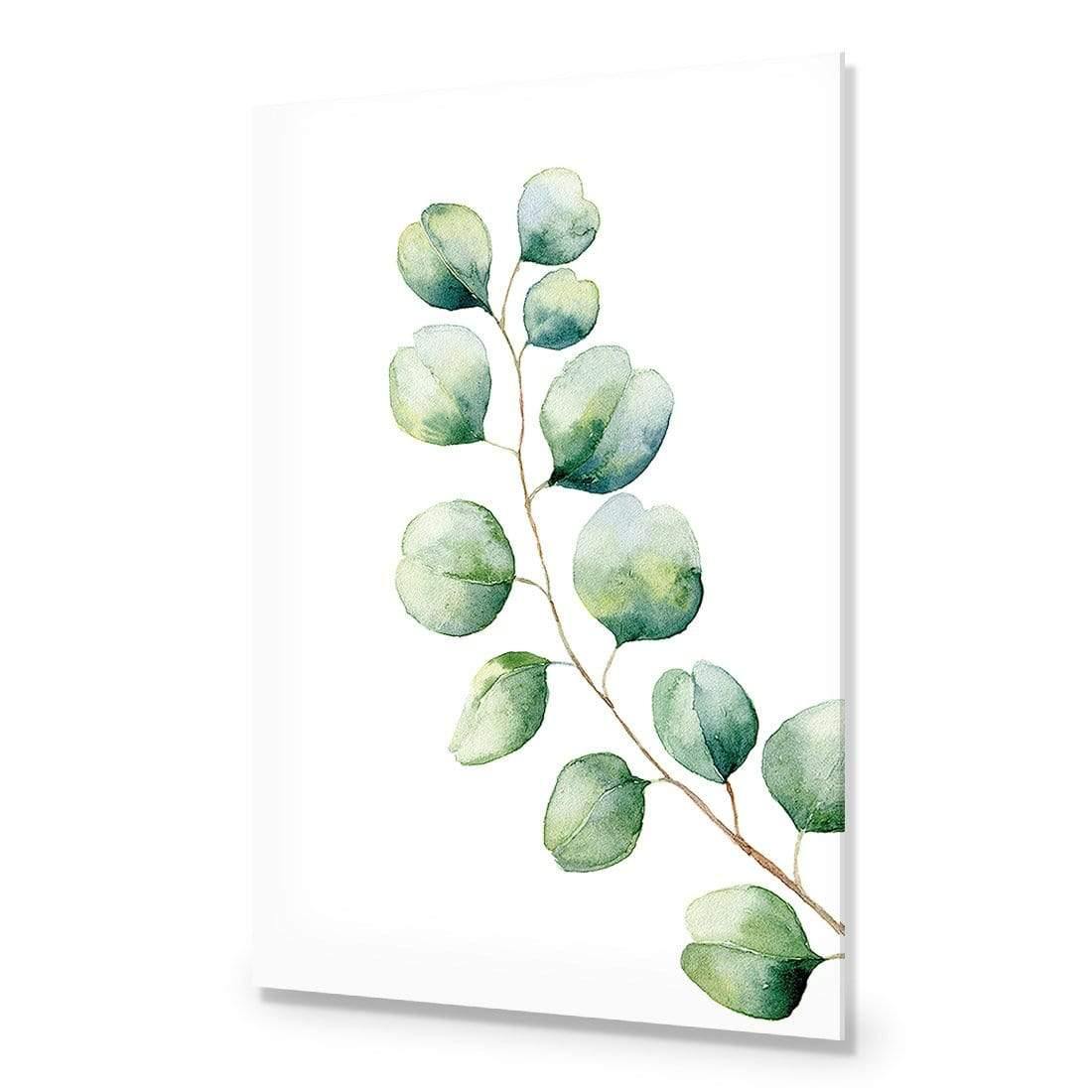 Eucalyptus Solo - Wall Art Designs - 3181_AR_V WAD_CP - MPY - 260 - M - S - S_45x30_NONE