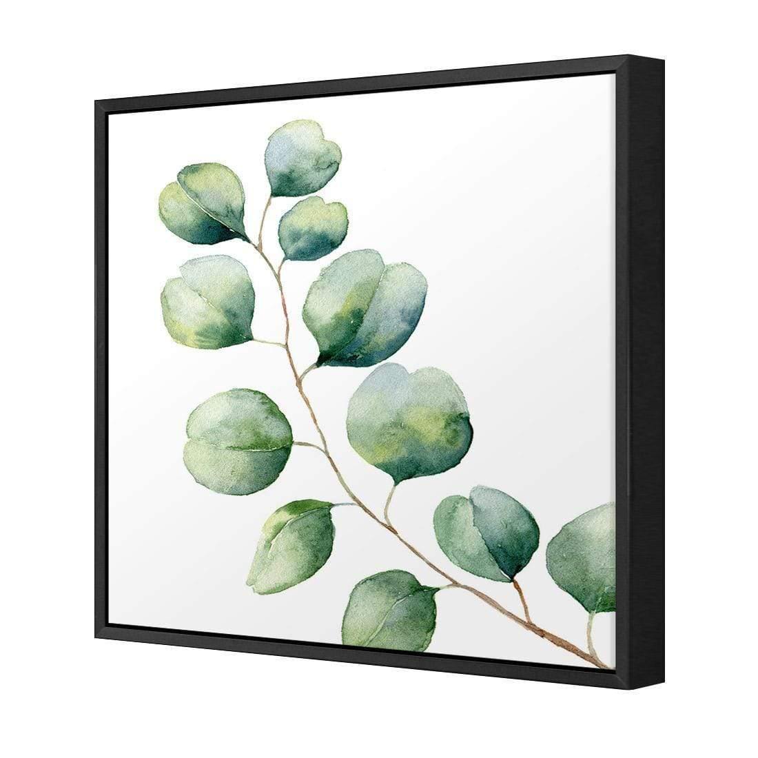 Eucalyptus Solo (Square) - Wall Art Designs - 3181_AS_Q WAD_CP - MPY - 260 - M - S - S_37x37_NONE