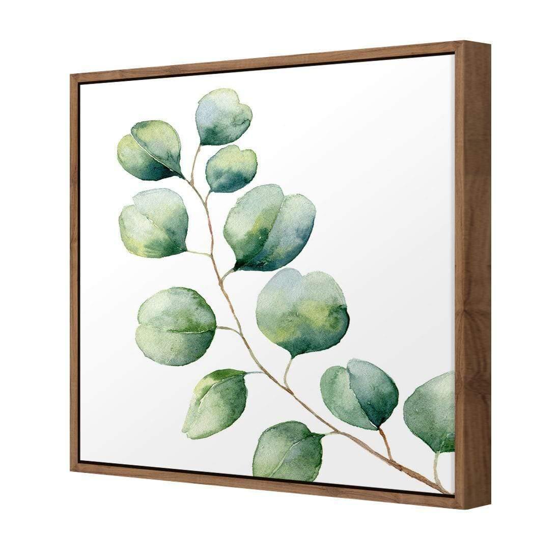 Eucalyptus Solo (Square) - Wall Art Designs - 3181_AS_Q WAD_CP - MPY - 260 - M - S - S_37x37_NONE