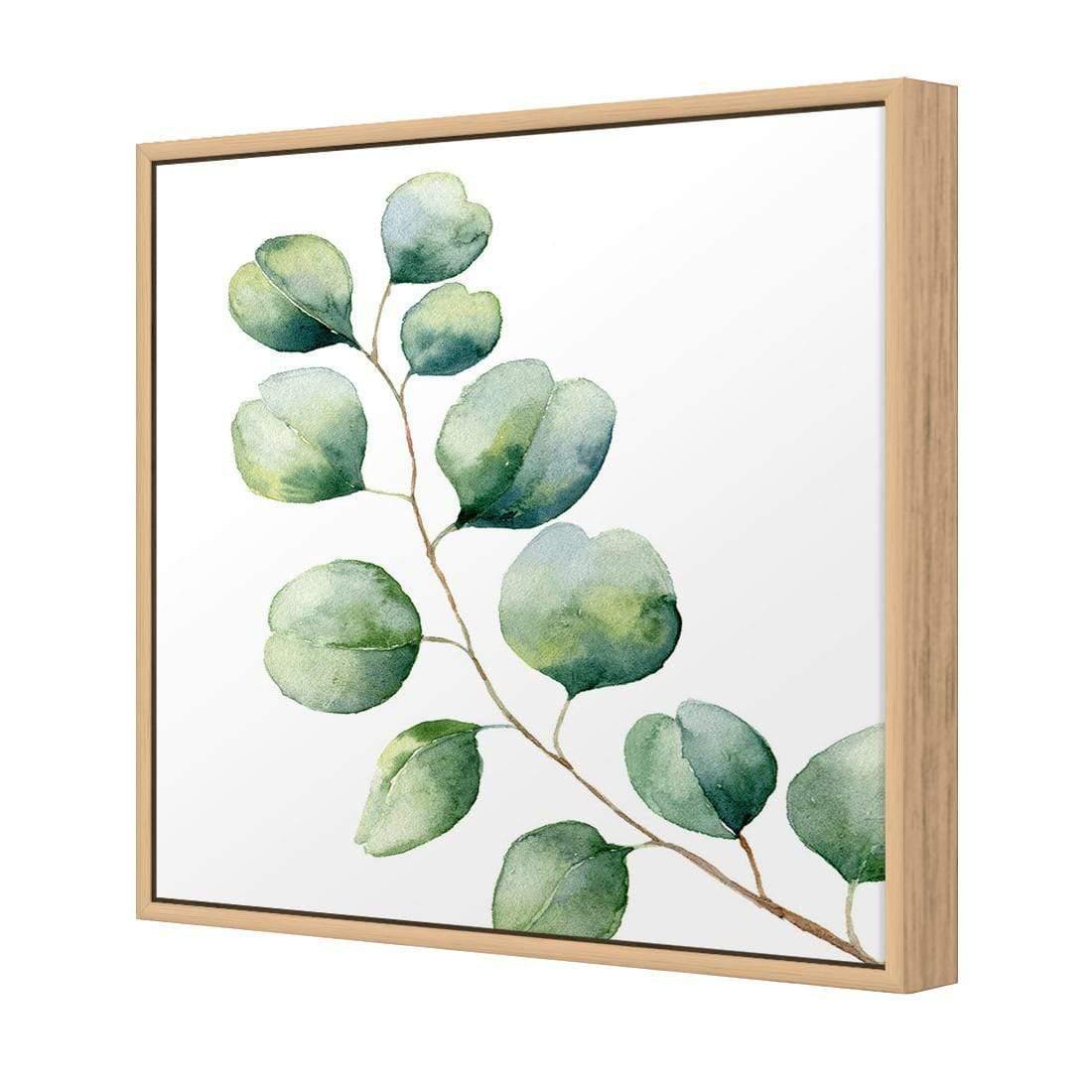 Eucalyptus Solo (Square) - Wall Art Designs - 3181_AS_Q WAD_CP - MPY - 260 - M - S - S_37x37_NONE