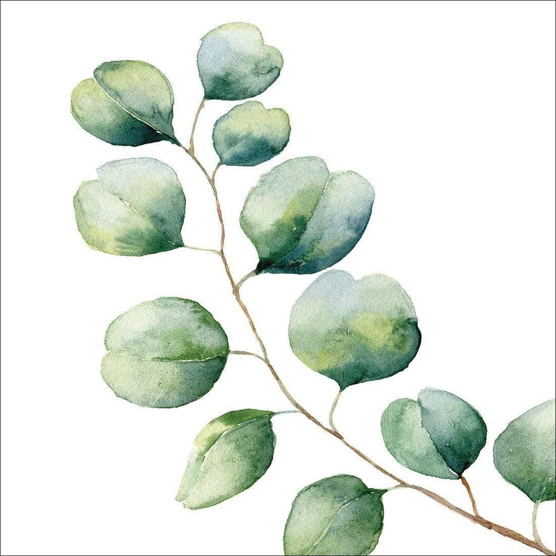 Eucalyptus Solo (Square) - Wall Art Designs - 3181_AS_Q WAD_CP - MPY - 260 - M - S - S_37x37_NONE