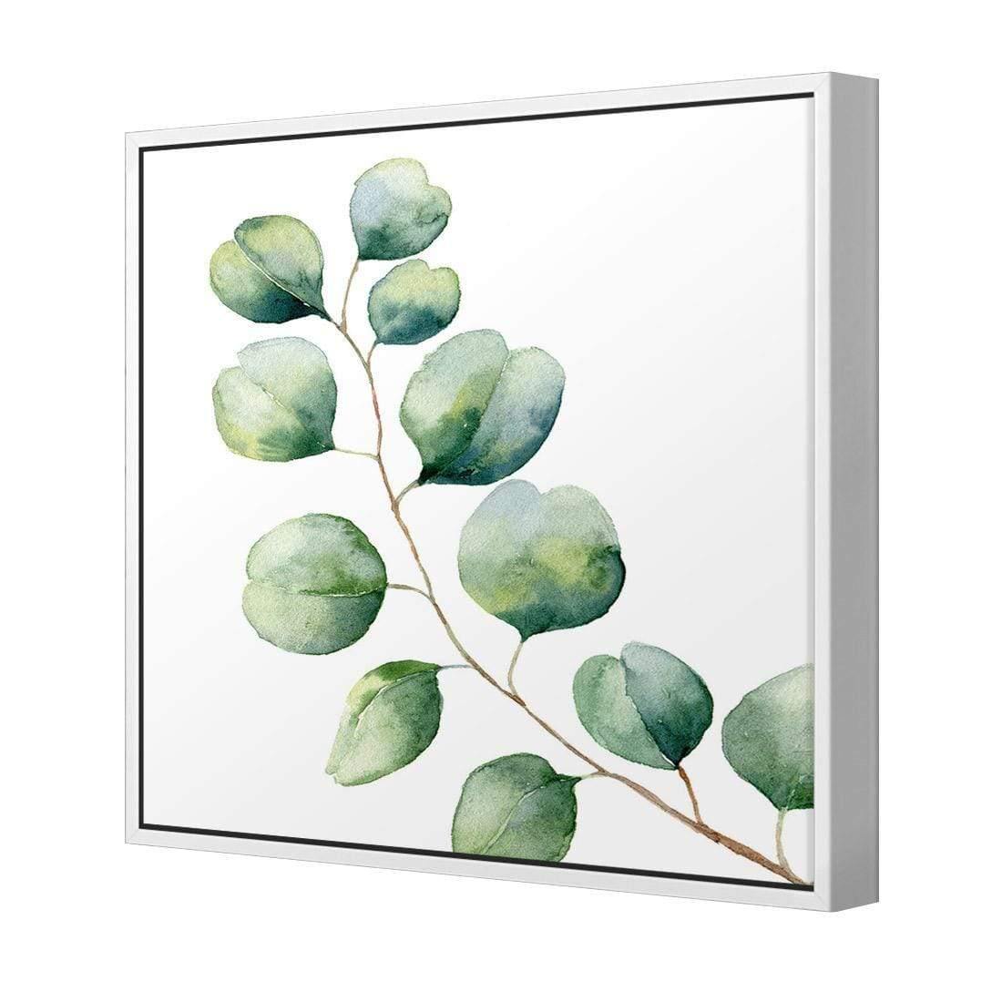 Eucalyptus Solo (Square) - Wall Art Designs - 3181_AS_Q WAD_CP - MPY - 260 - M - S - S_37x37_NONE