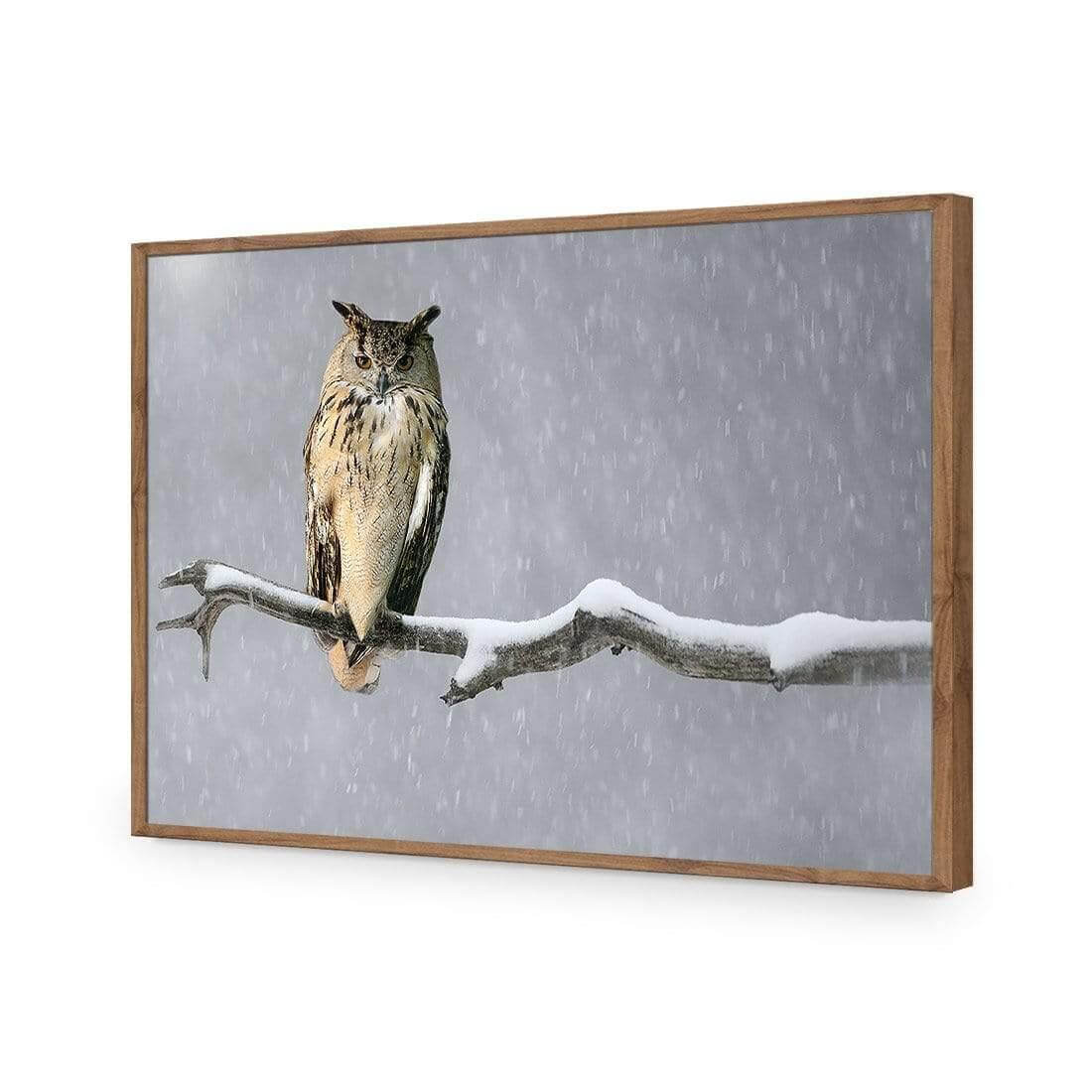 Eurasian Eagle Owl | Classic Acrylic | Flat Frame No Border | Natural