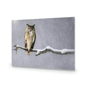 Eurasian Eagle Owl | Classic Acrylic | No Frame No Border