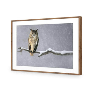 Eurasian Eagle Owl | Classic Acrylic | Flat Frame With Border | Natural
