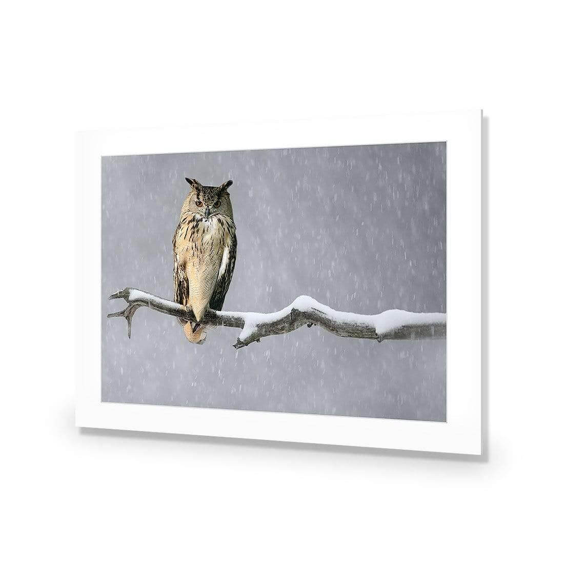Eurasian Eagle Owl | Classic Acrylic | No Frame With Border
