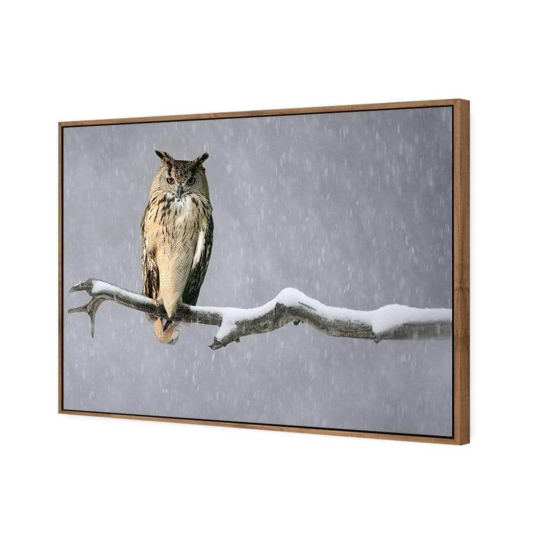 Eurasian Eagle Owl | Classic Canvas | Floating Frame | Natural