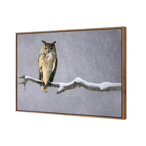 Eurasian Eagle Owl | Classic Canvas | Floating Frame | Natural