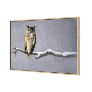 Eurasian Eagle Owl | Classic Canvas | Floating Frame | Oak
