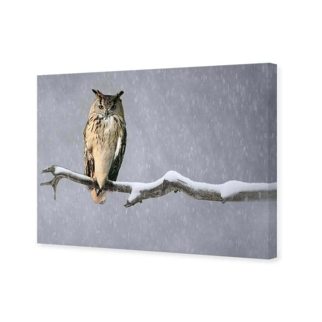 Eurasian Eagle Owl | Classic Canvas | No Frame | Stretched Canvas