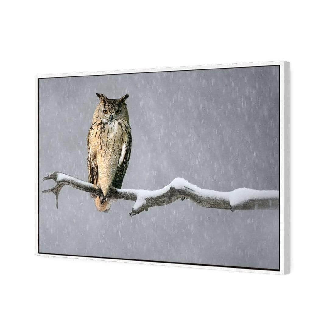 Eurasian Eagle Owl | Classic Canvas | Floating Frame | White