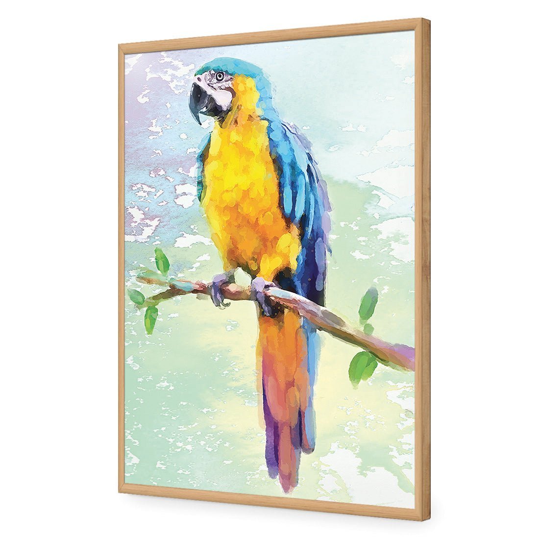 Exotic Macaw, Watercolour - Wall Art Designs - 2355_DR_V WAD_CP - MPY - 260 - M - S - S_45x30_NONE