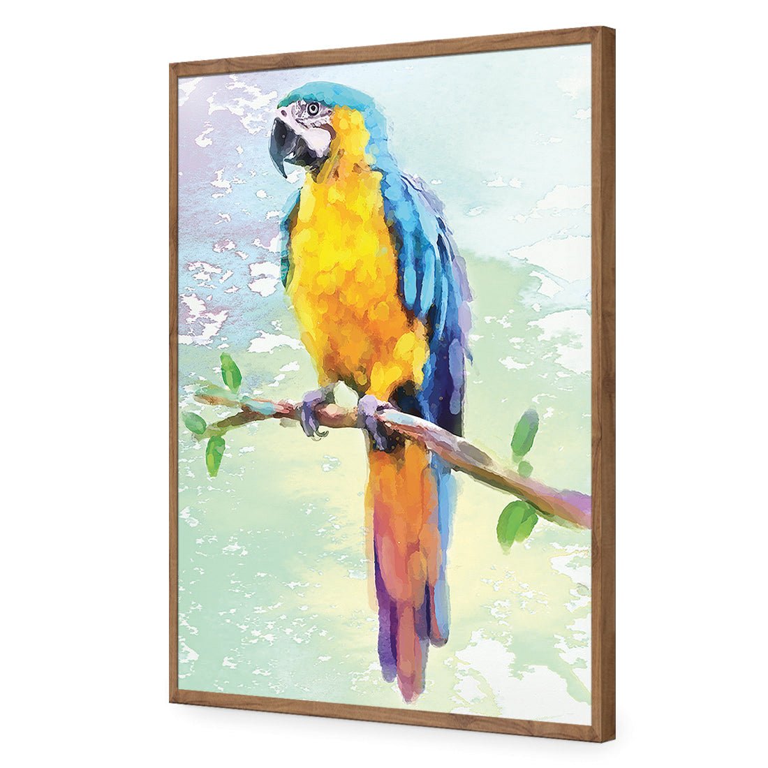 Exotic Macaw, Watercolour - Wall Art Designs - 2355_DR_V WAD_CP - MPY - 260 - M - S - S_45x30_NONE