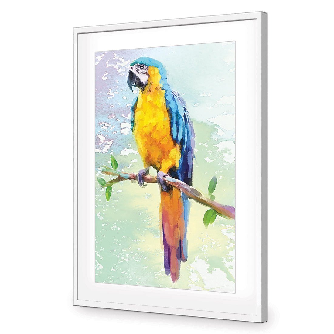 Exotic Macaw, Watercolour - Wall Art Designs - 2355_DR_V WAD_CP - MPY - 260 - M - S - S_45x30_NONE