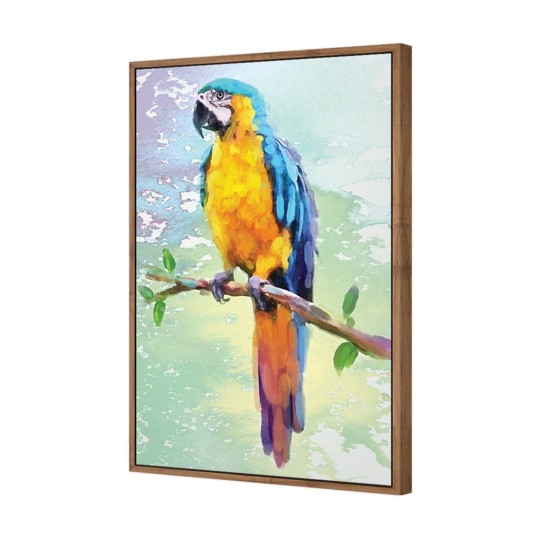 Exotic Macaw, Watercolour - Wall Art Designs - 2355_DR_V WAD_CP - MPY - 260 - M - S - S_45x30_NONE