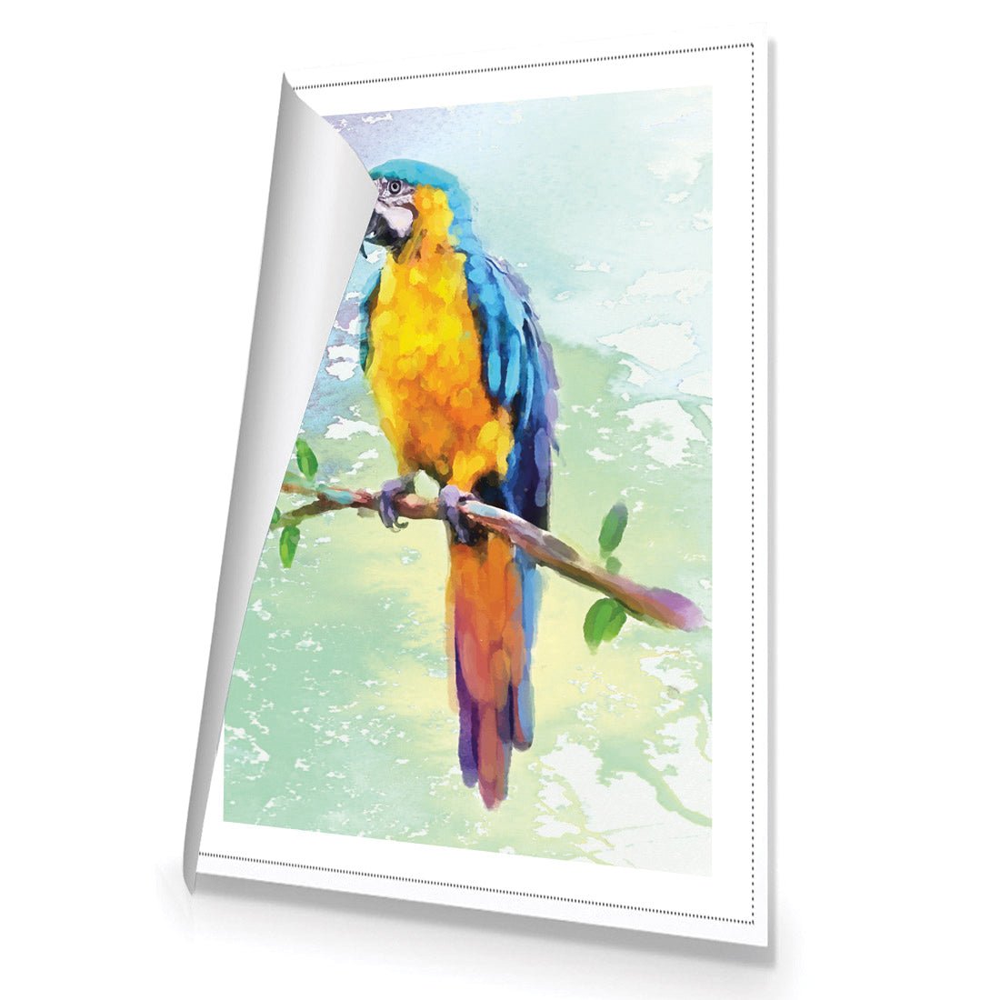 Exotic Macaw, Watercolour - Wall Art Designs - 2355_DR_V WAD_CP - MPY - 260 - M - S - S_45x30_NONE