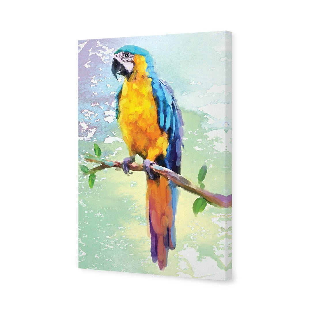 Exotic Macaw, Watercolour - Wall Art Designs - 2355_DR_V WAD_CP - MPY - 260 - M - S - S_45x30_NONE