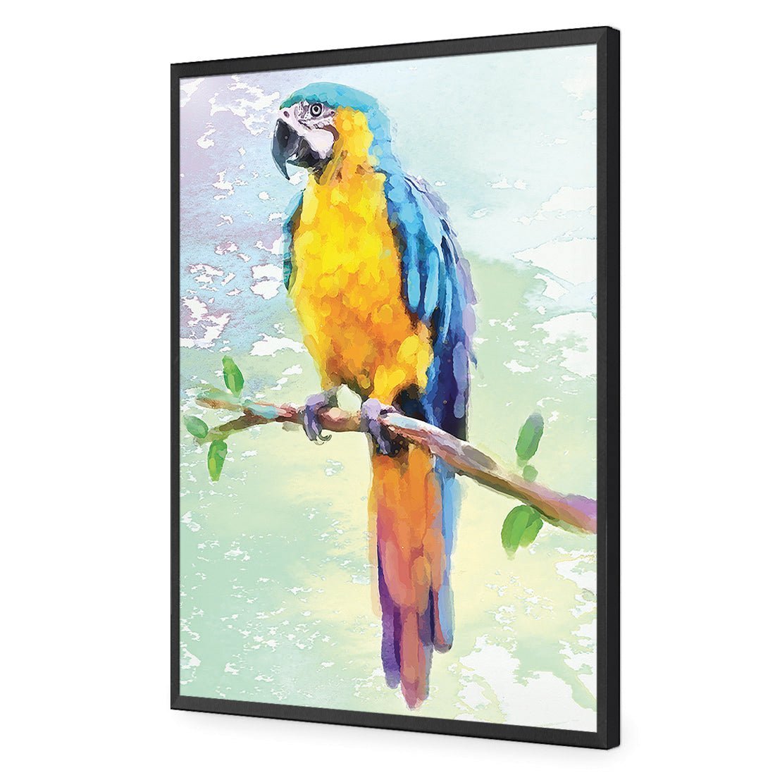 Exotic Macaw, Watercolour - Wall Art Designs - 2355_DR_V WAD_CP - MPY - 260 - M - S - S_45x30_NONE