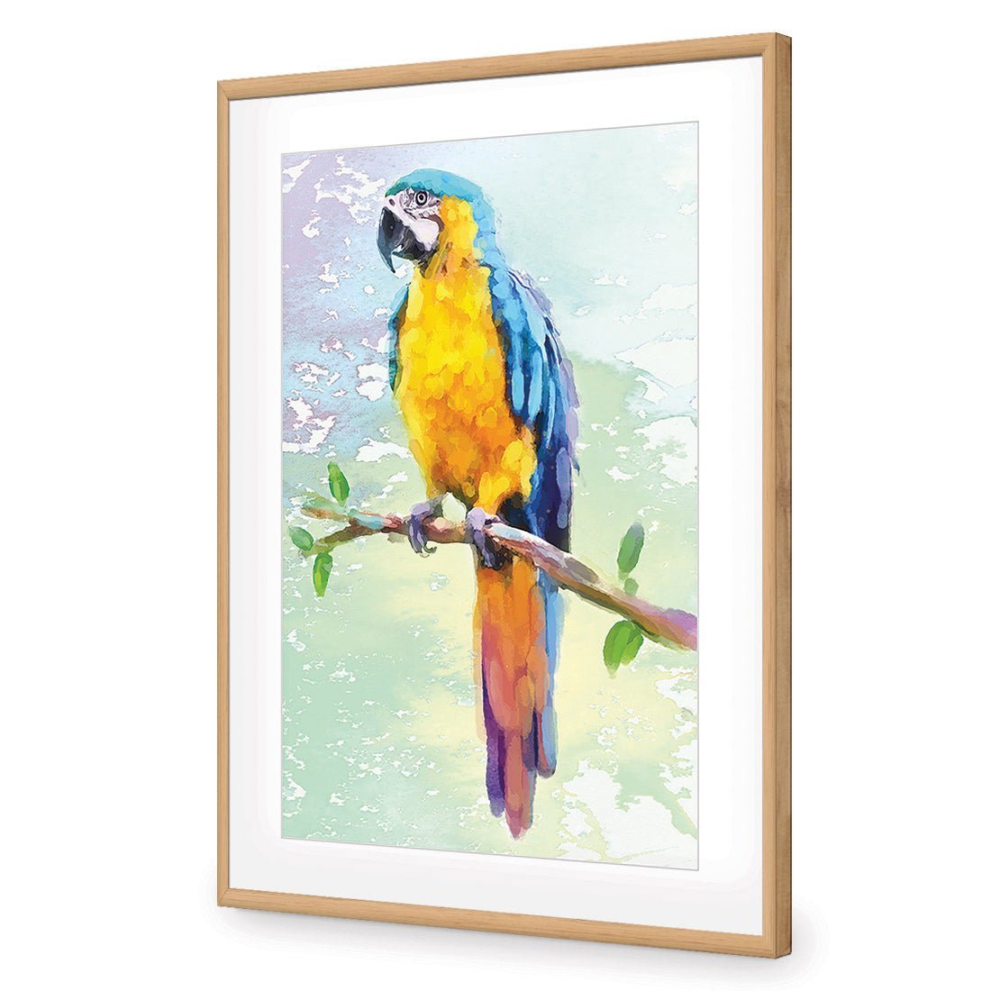 Exotic Macaw, Watercolour - Wall Art Designs - 2355_DR_V WAD_CP - MPY - 260 - M - S - S_45x30_NONE