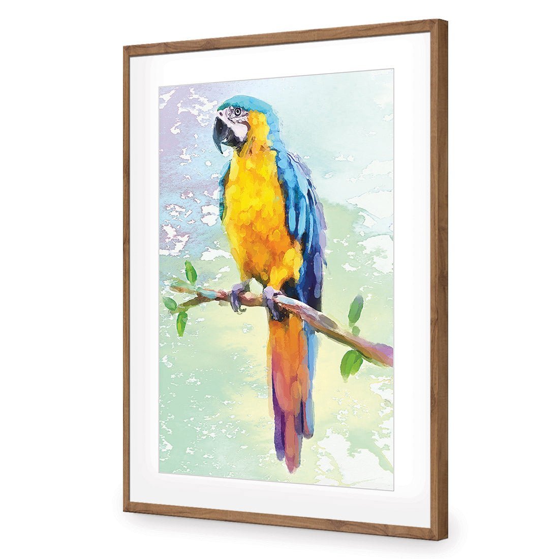 Exotic Macaw, Watercolour - Wall Art Designs - 2355_DR_V WAD_CP - MPY - 260 - M - S - S_45x30_NONE