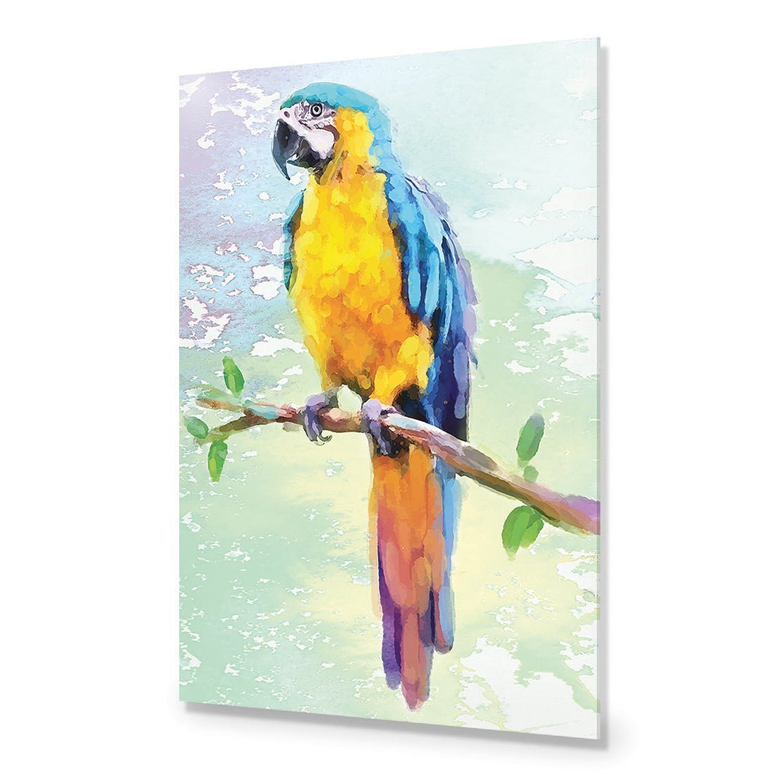 Exotic Macaw, Watercolour - Wall Art Designs - 2355_DR_V WAD_CP - MPY - 260 - M - S - S_45x30_NONE