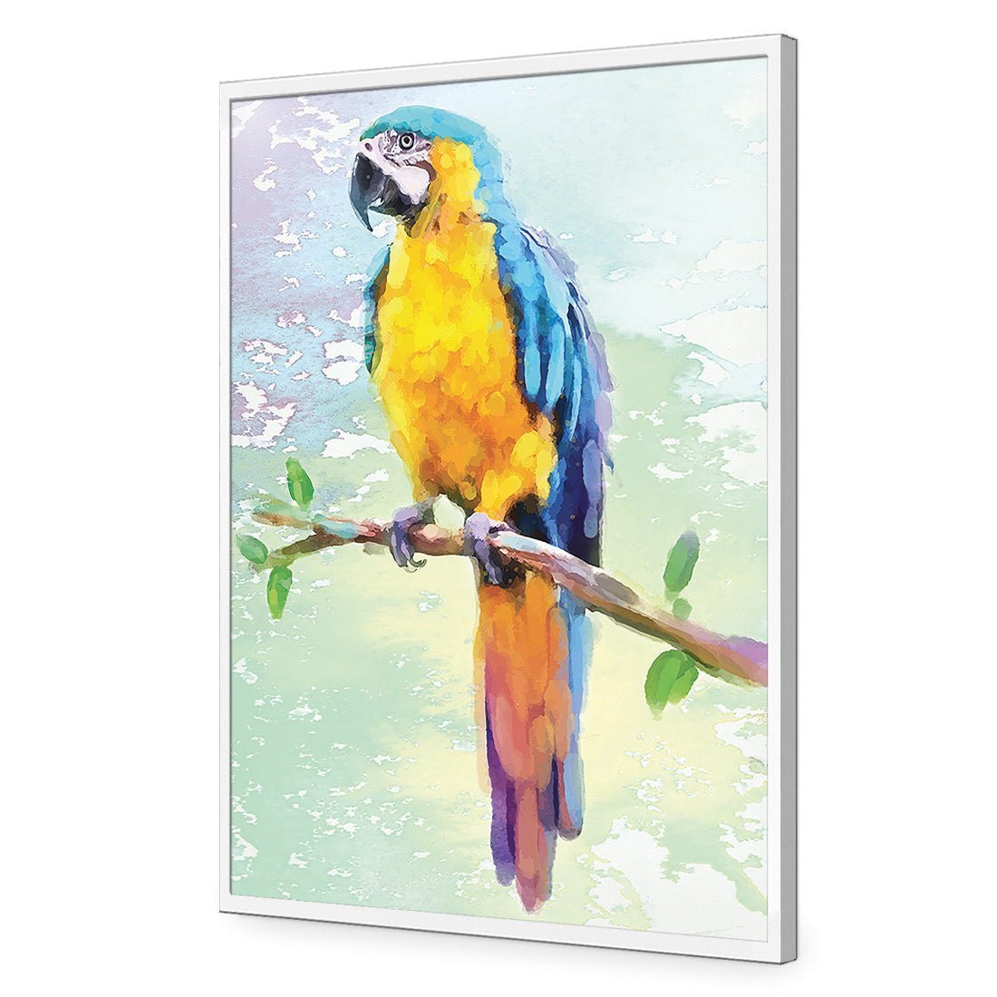 Exotic Macaw, Watercolour - Wall Art Designs - 2355_DR_V WAD_CP - MPY - 260 - M - S - S_45x30_NONE